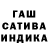 Каннабис семена Aragon Gashi
