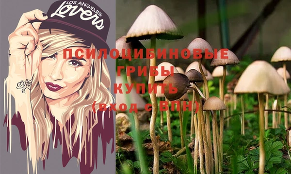 дурь Саяногорск