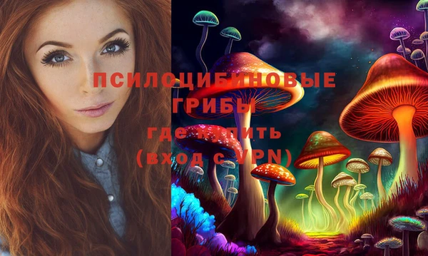 прущие крисы Арсеньев