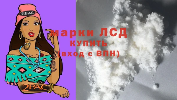 трава Аркадак